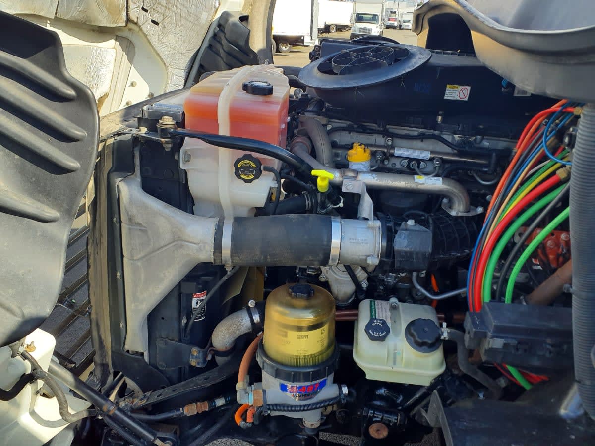 2018 Freightliner/Mercedes CASCADIA 113 787325