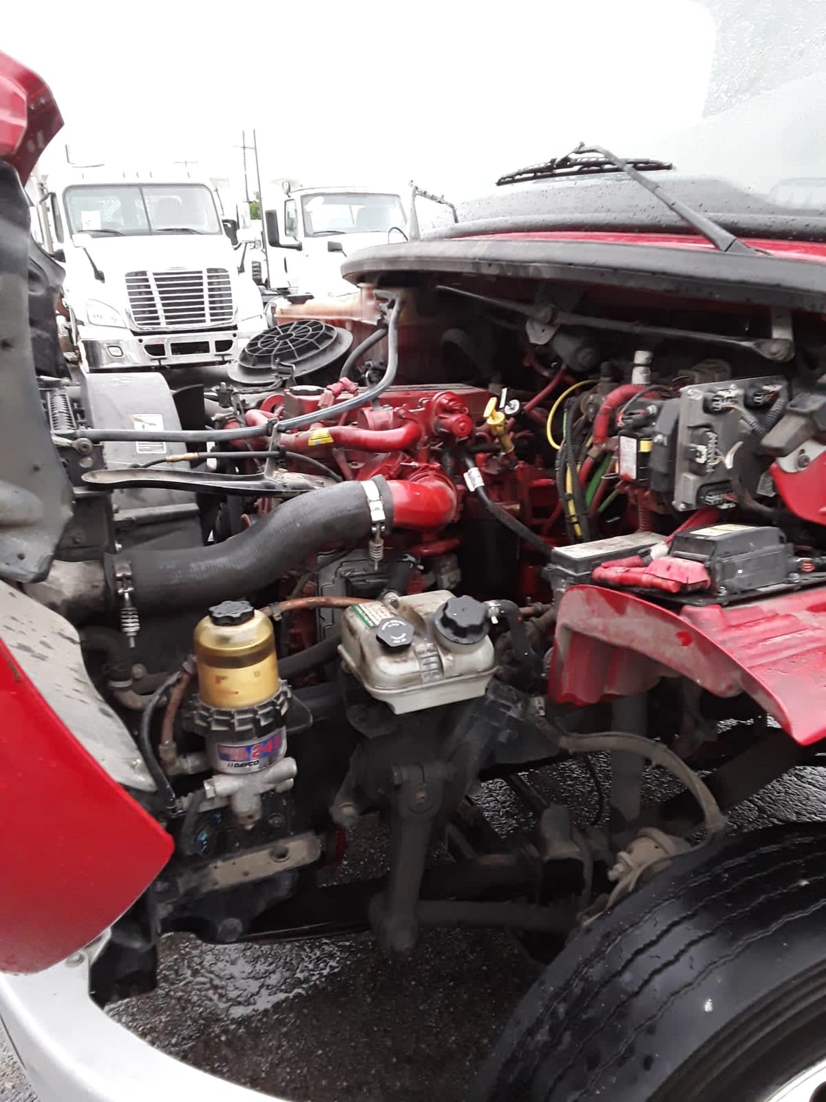 2019 Freightliner/Mercedes M2 106 788064