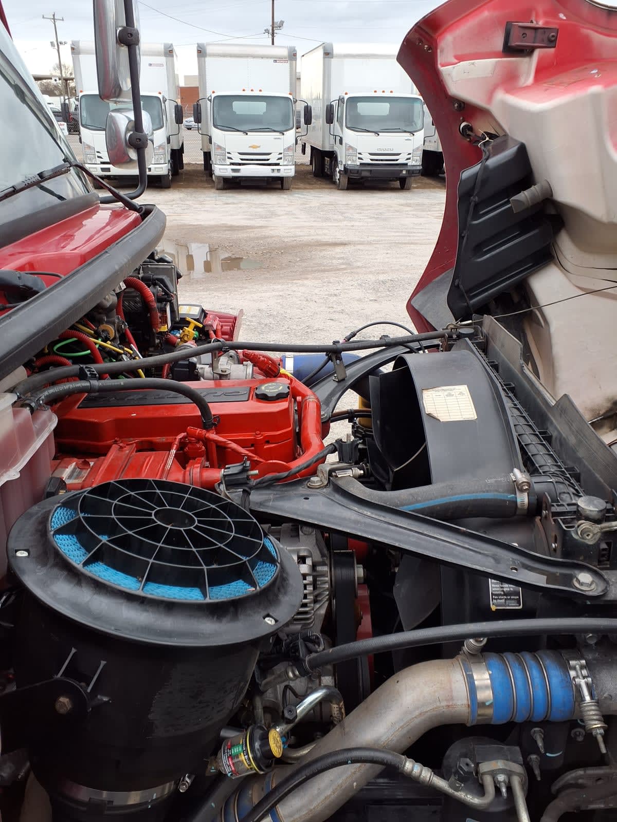 2019 Freightliner/Mercedes M2 106 788253