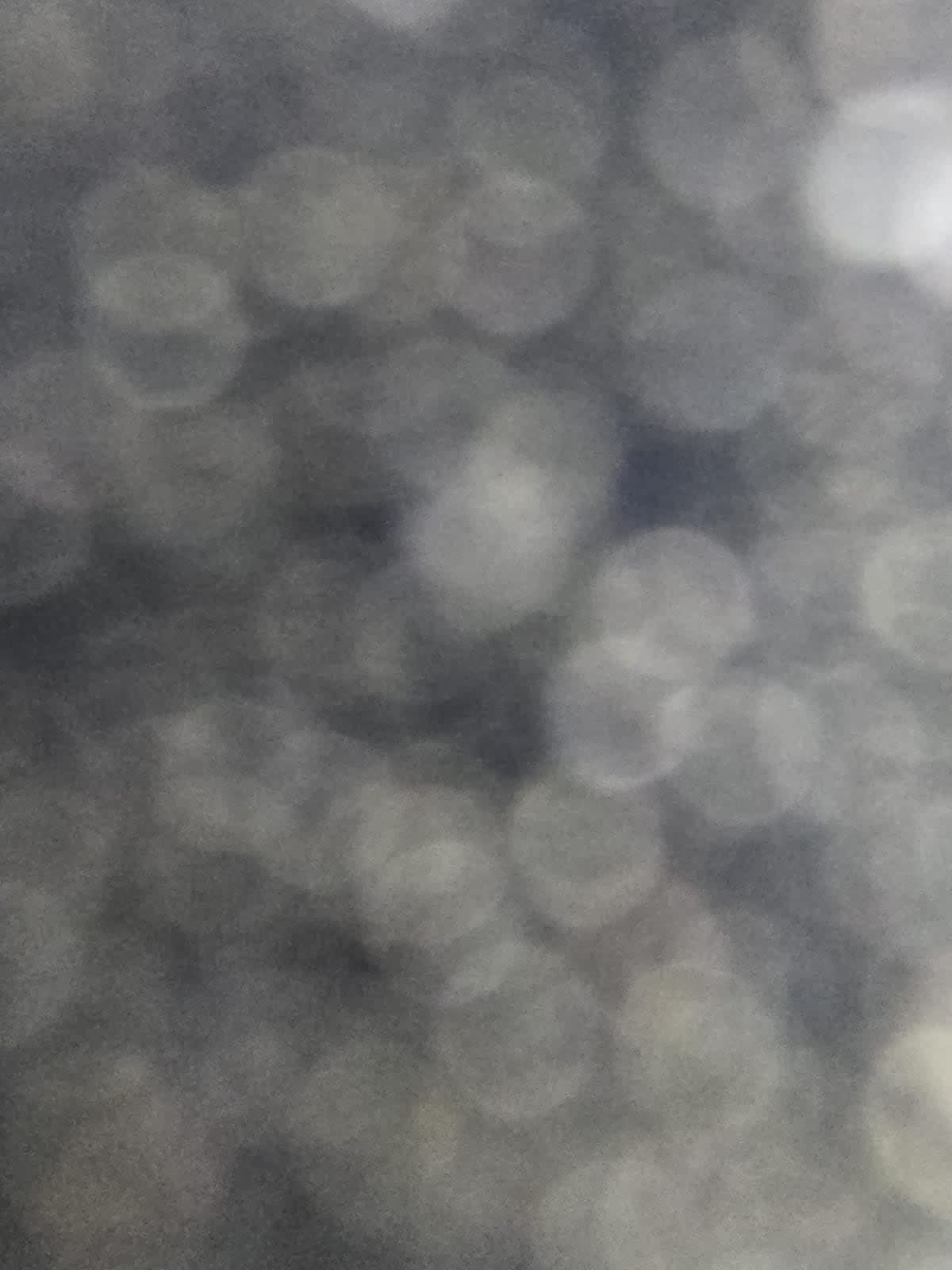 2019 Freightliner/Mercedes M2 106 788475