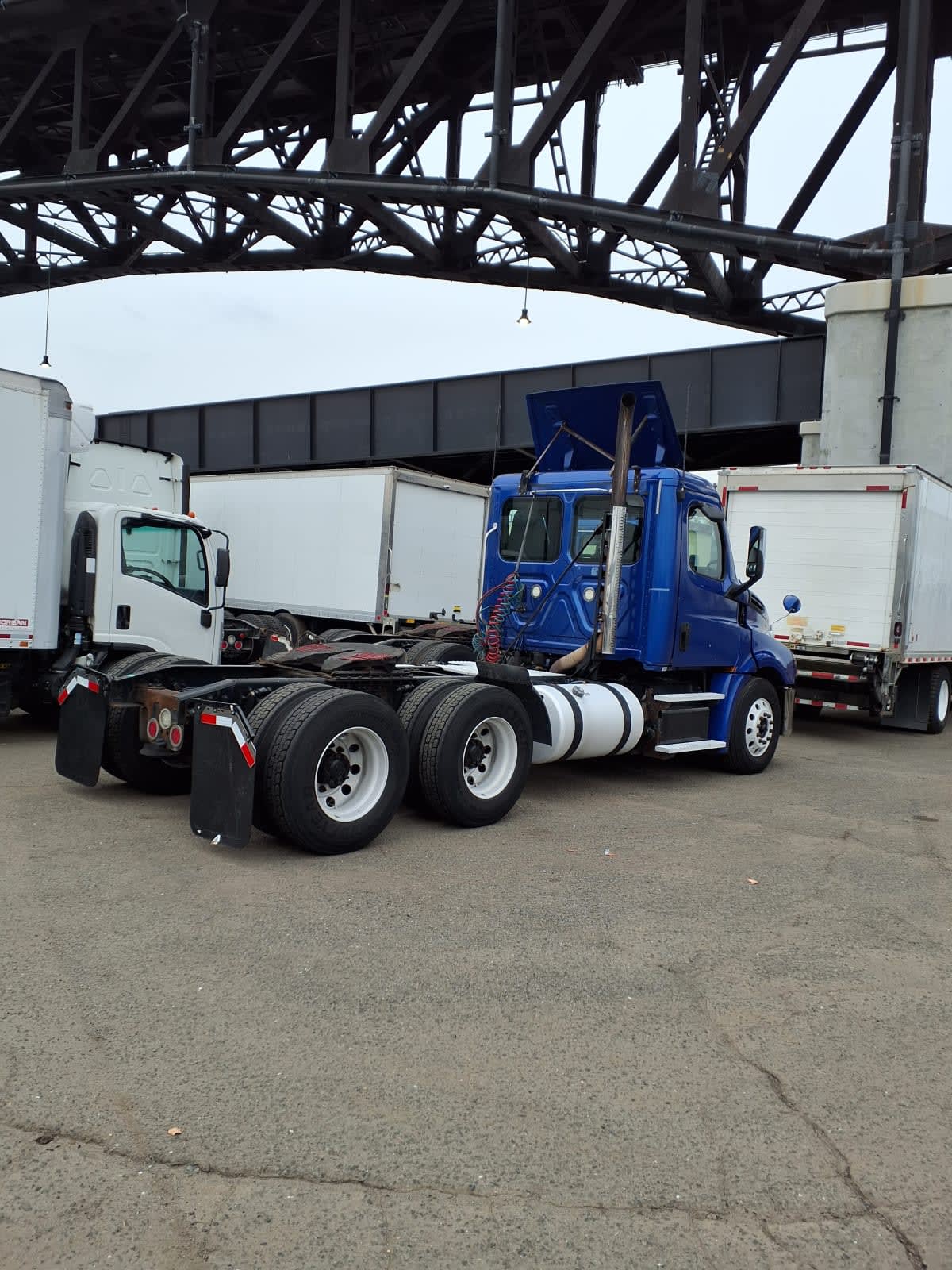 2019 Freightliner - image 4