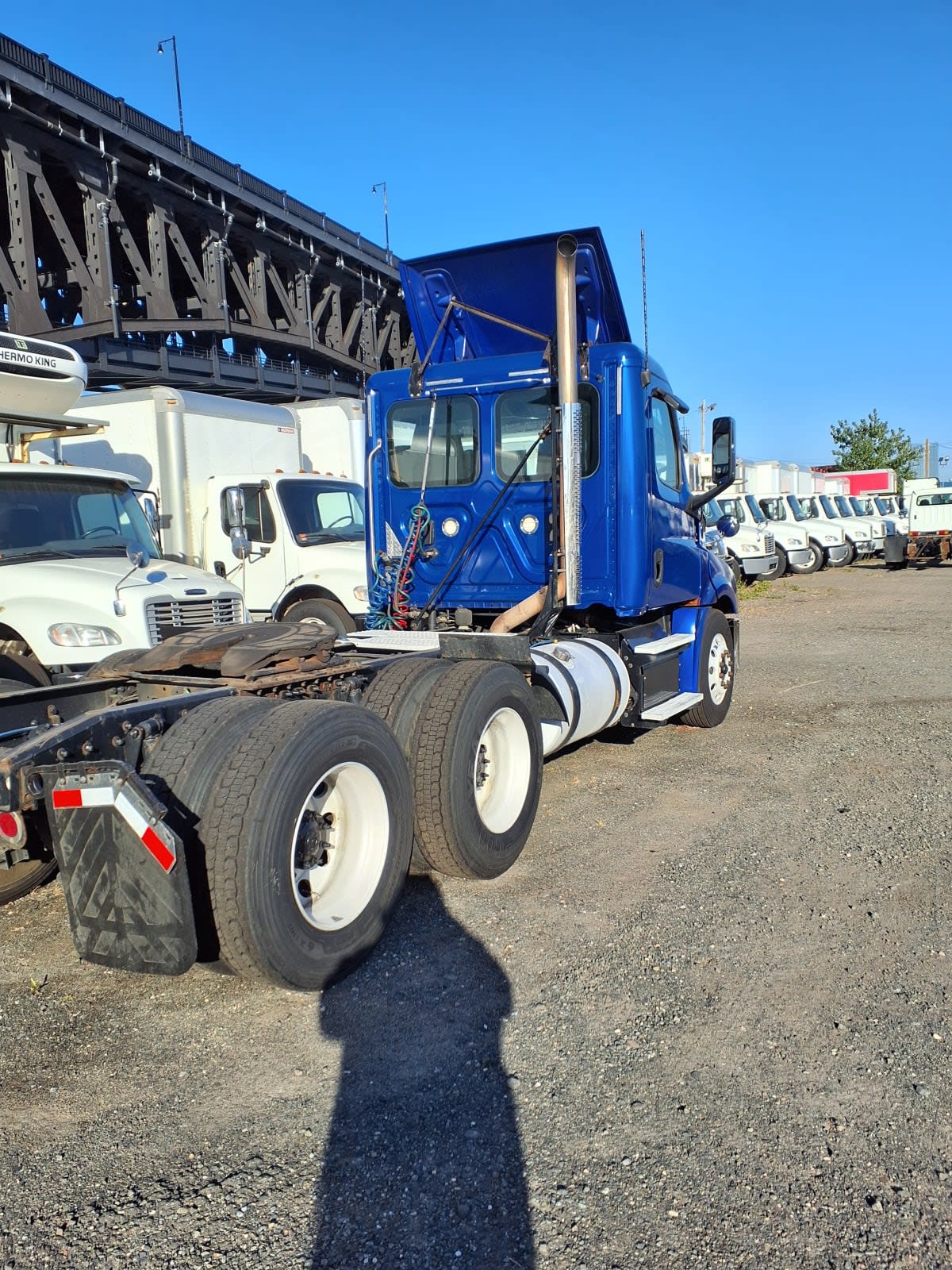 2019 Freightliner/Mercedes NEW CASCADIA PX12664 788648