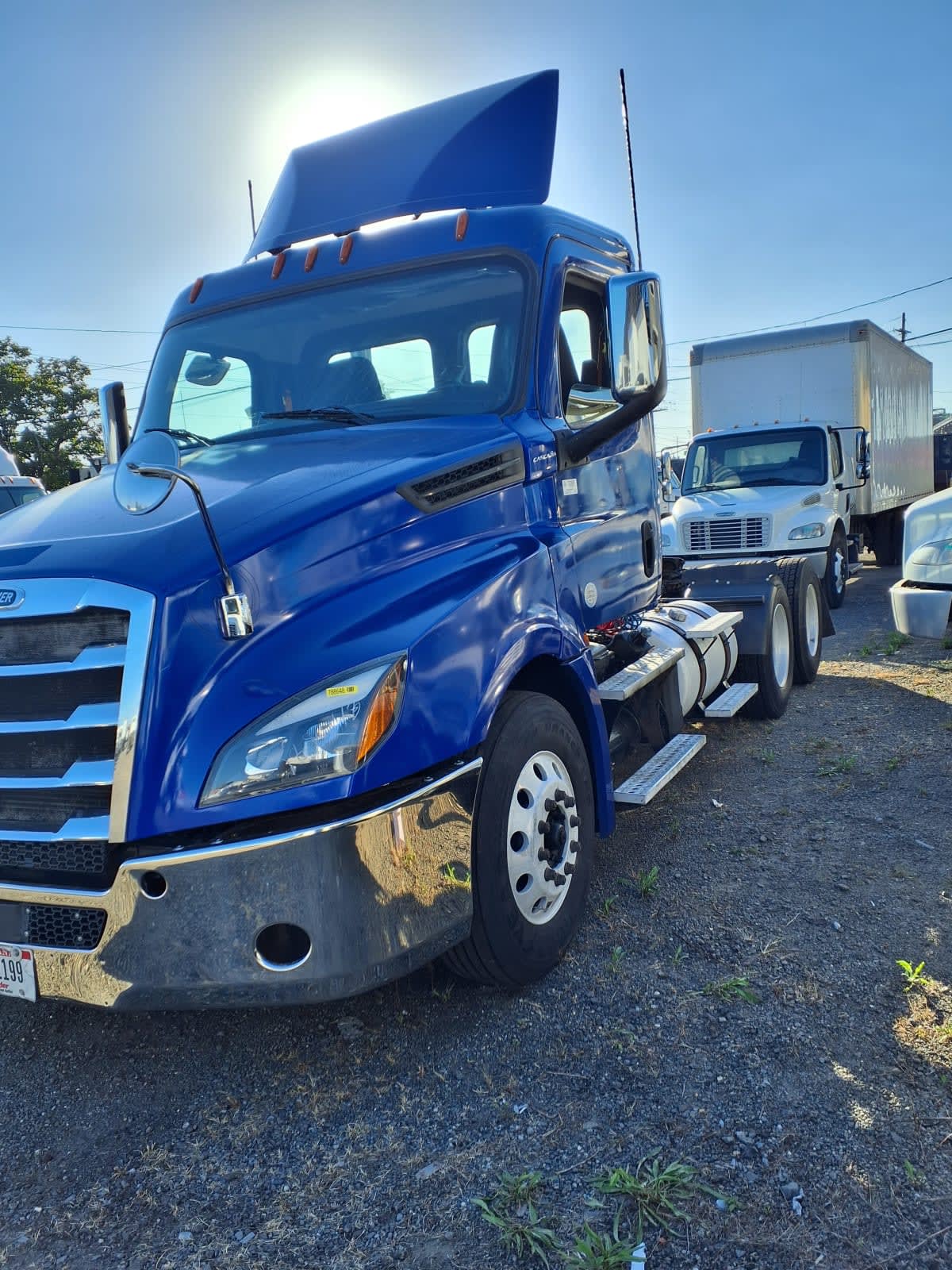 2019 Freightliner/Mercedes NEW CASCADIA PX12664 788648