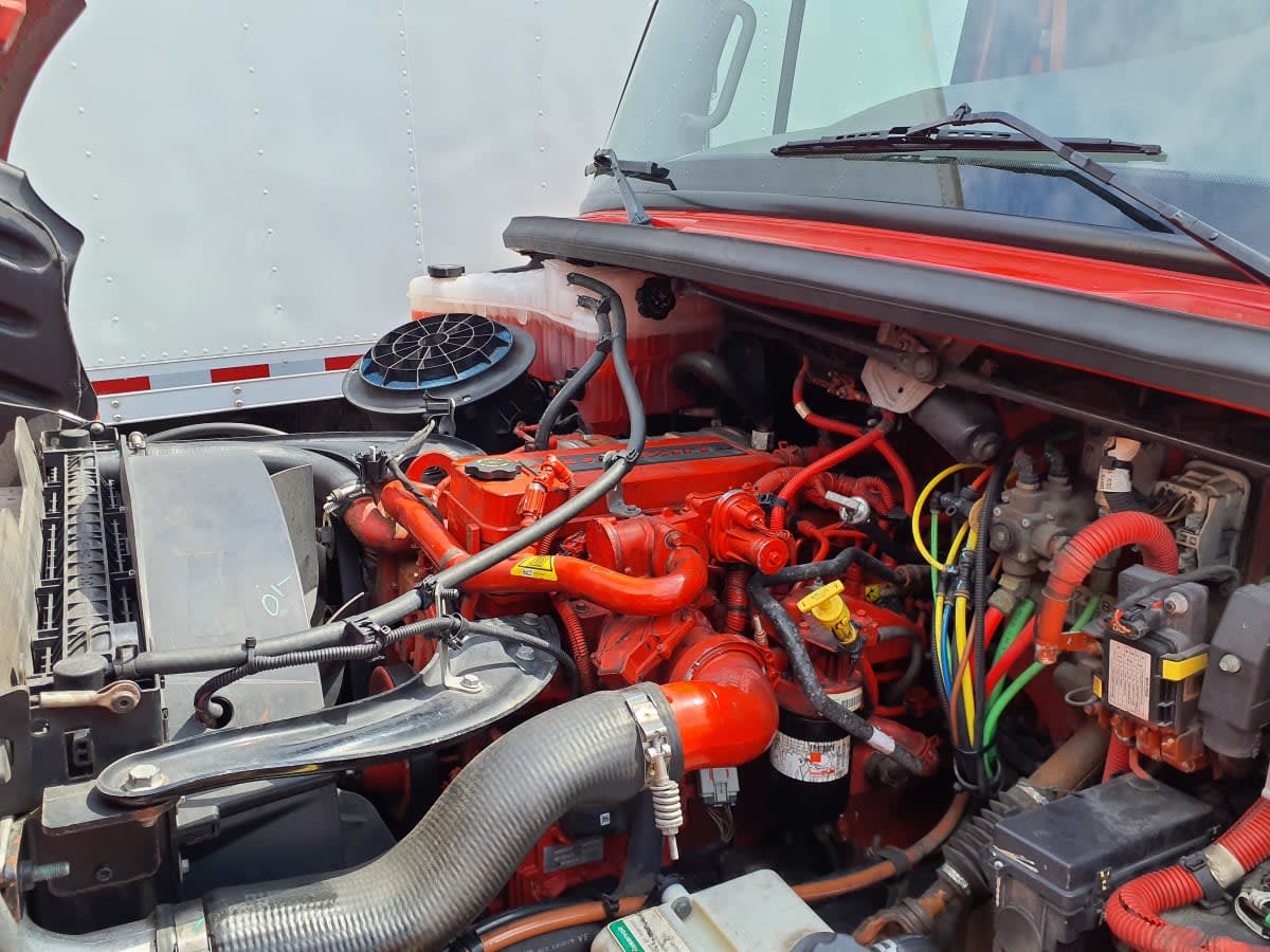 2019 Freightliner/Mercedes M2 106 788673