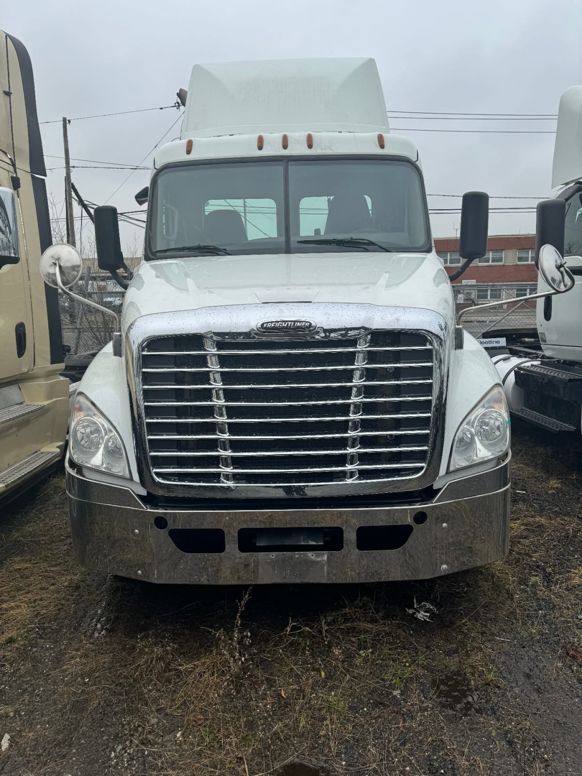 2018 Freightliner/Mercedes CASCADIA 125 788890