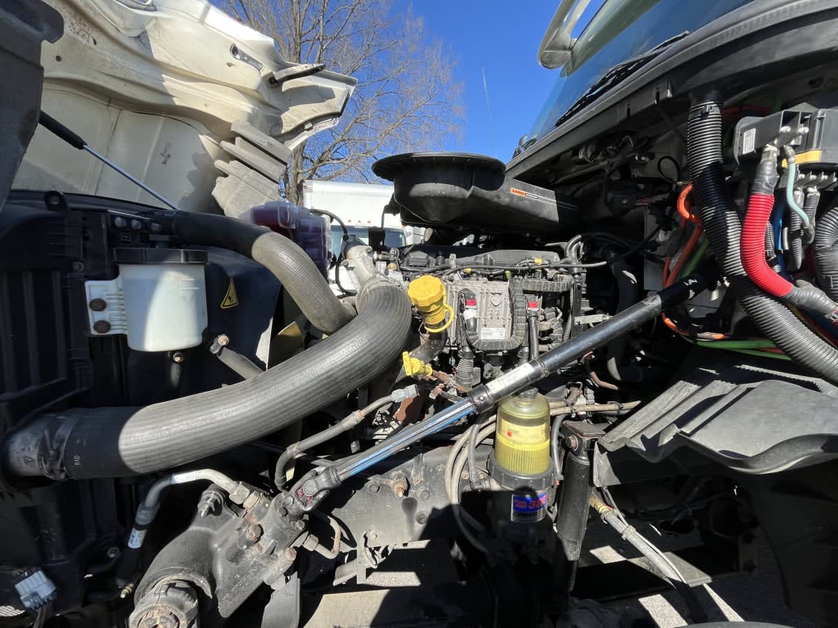 2018 International - image 8