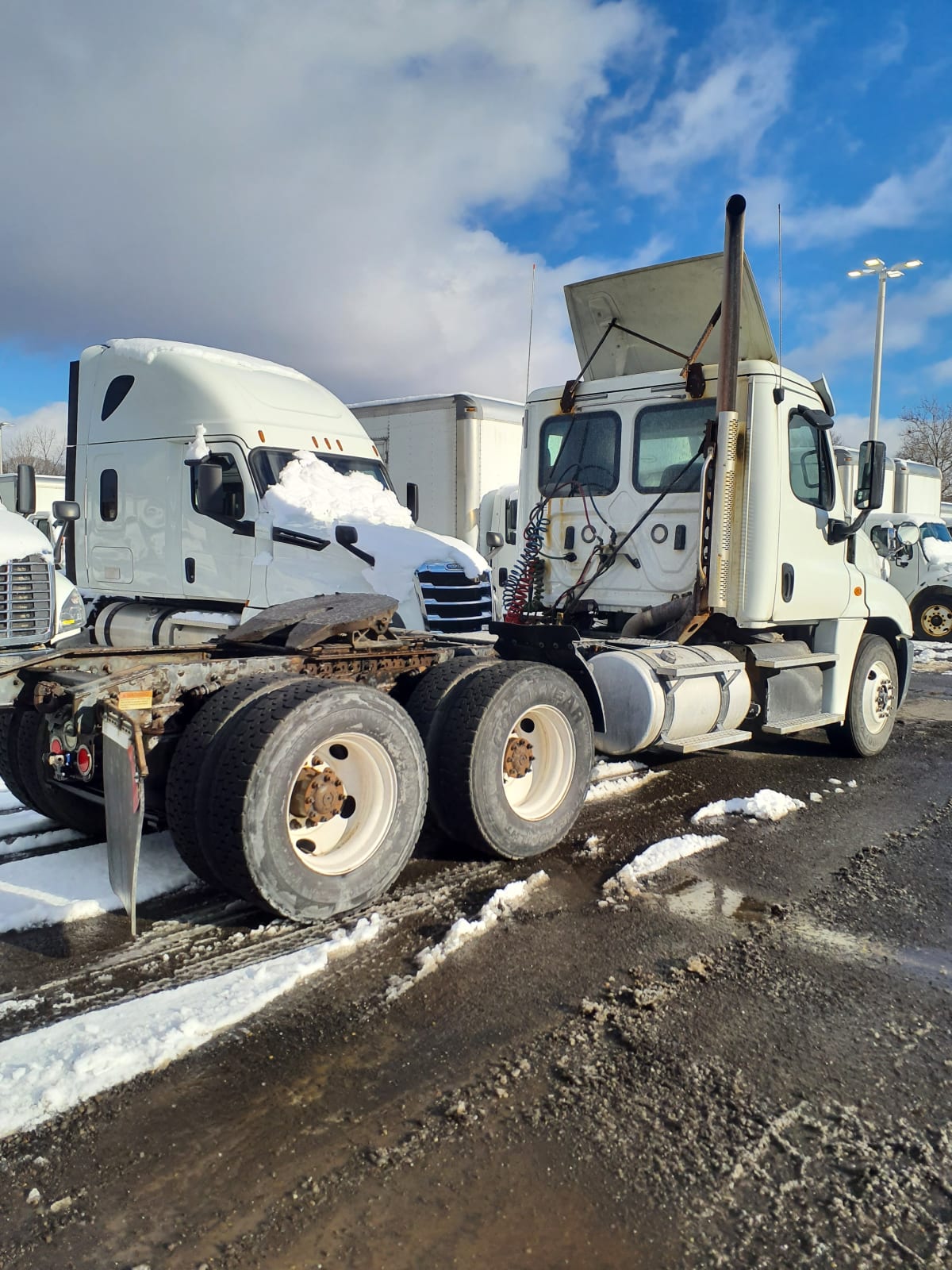 2019 Freightliner/Mercedes CASCADIA 125 790551