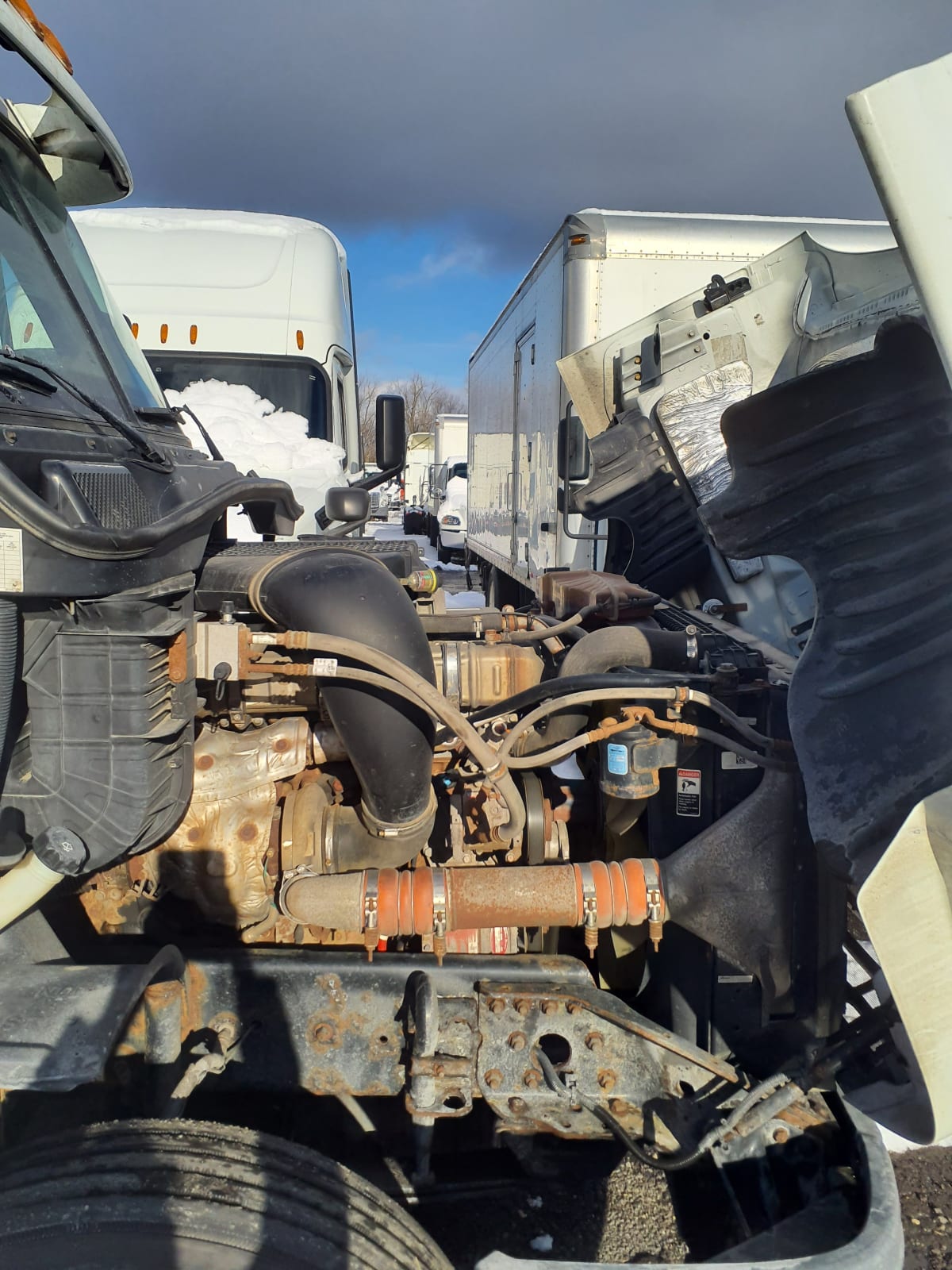 2019 Freightliner/Mercedes CASCADIA 125 790551