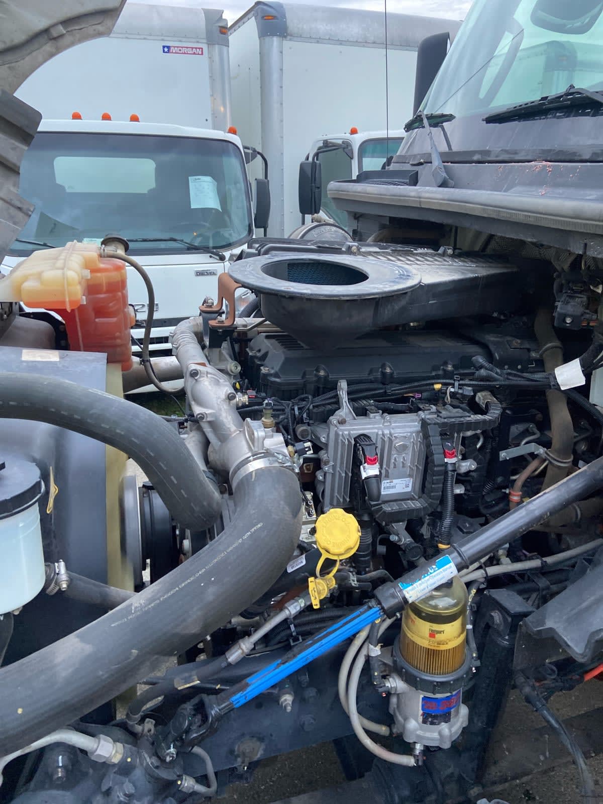 2018 International - image 8