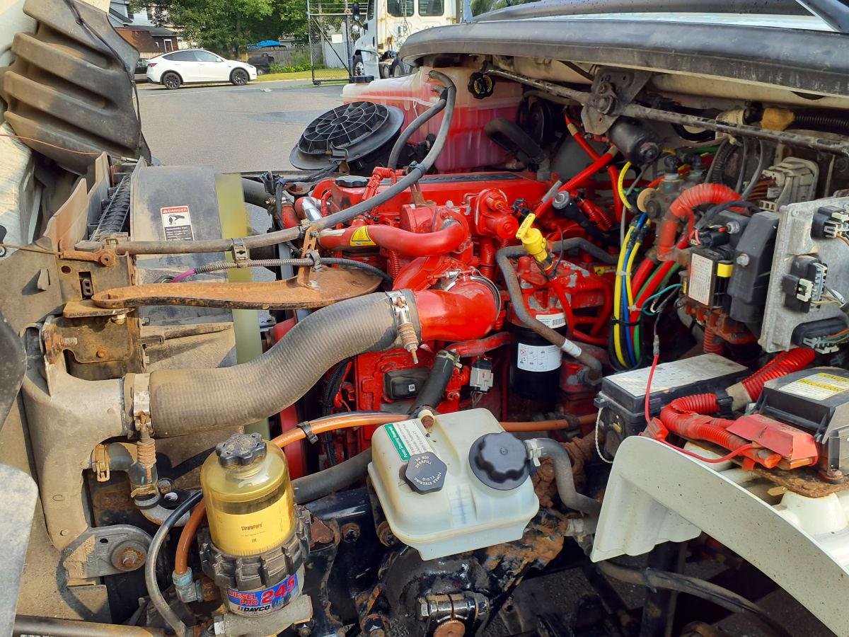 2019 Freightliner/Mercedes M2 106 791759