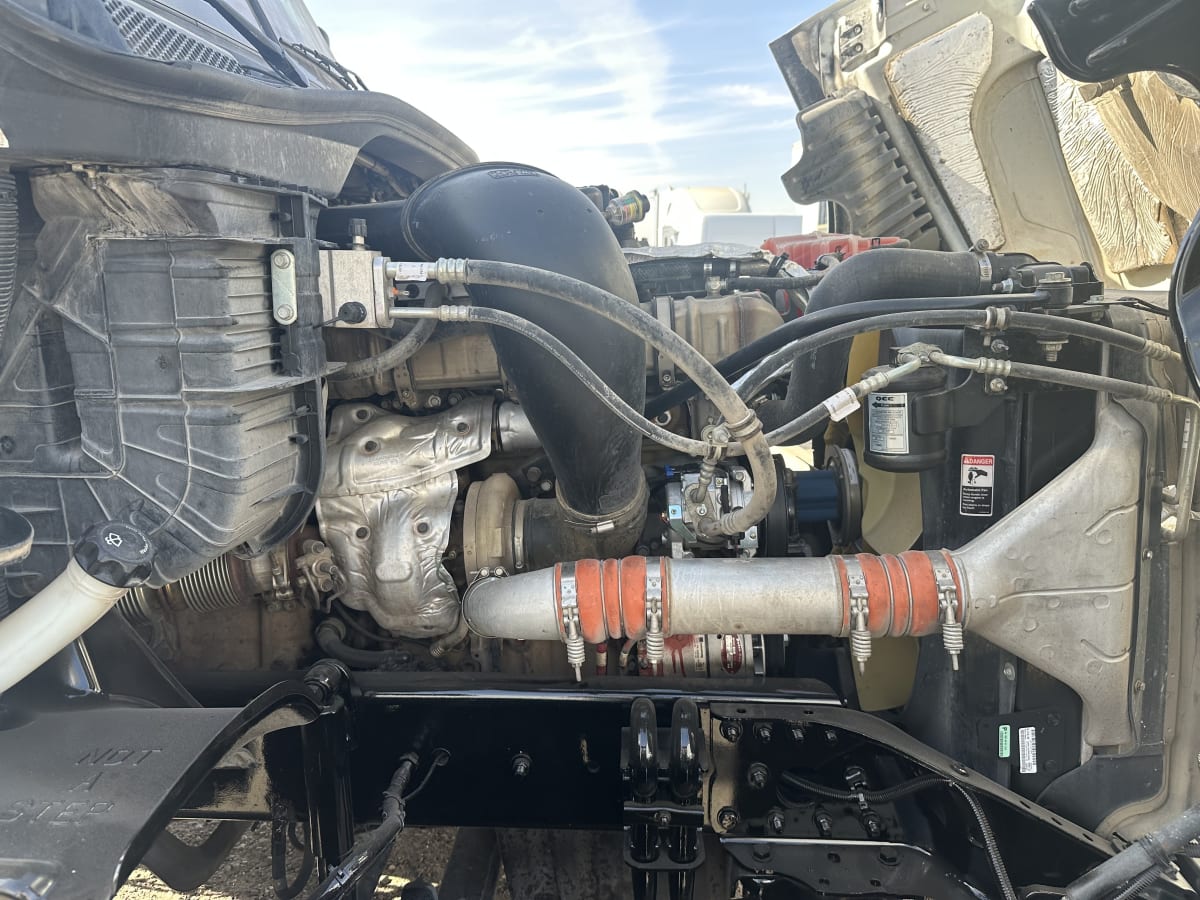 2019 Freightliner/Mercedes CASCADIA 125 791784