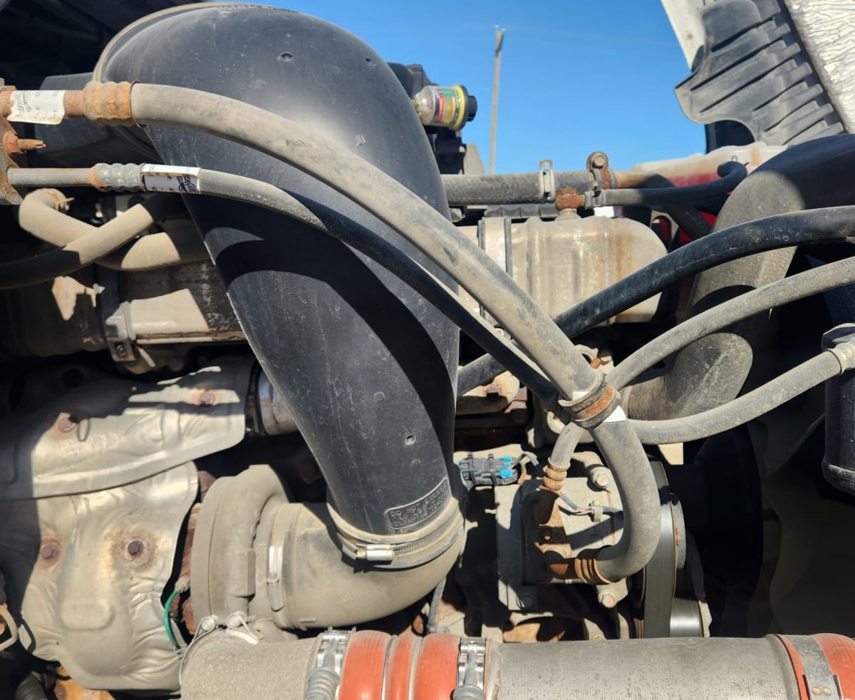 2019 Freightliner CASCADIA 125 792542