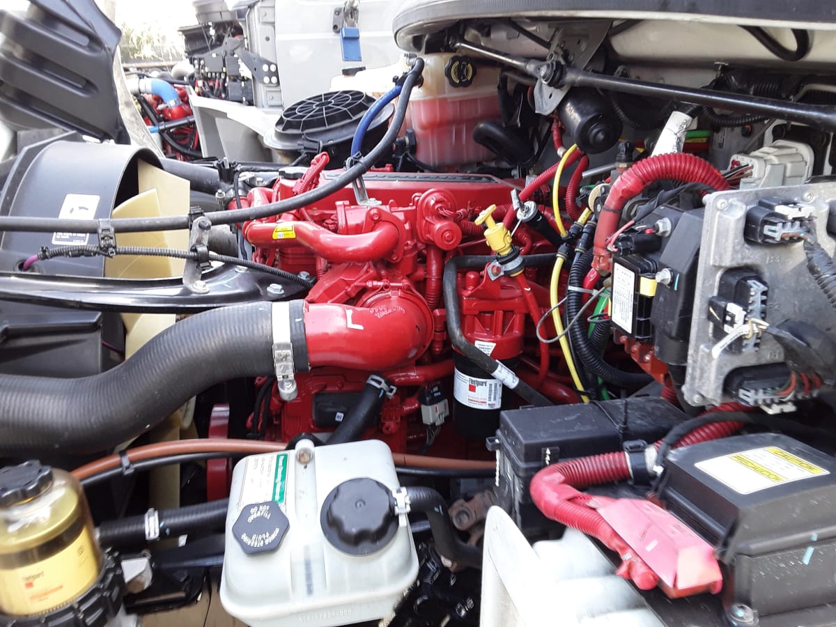 2019 Freightliner/Mercedes M2 106 794308