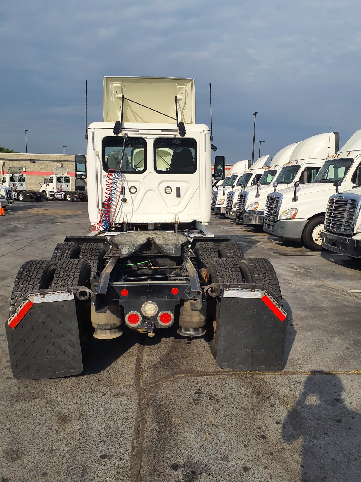 2019 Freightliner/Mercedes CASCADIA 125 794736