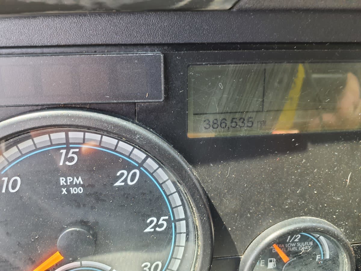 2019 Freightliner/Mercedes CASCADIA 125 795277