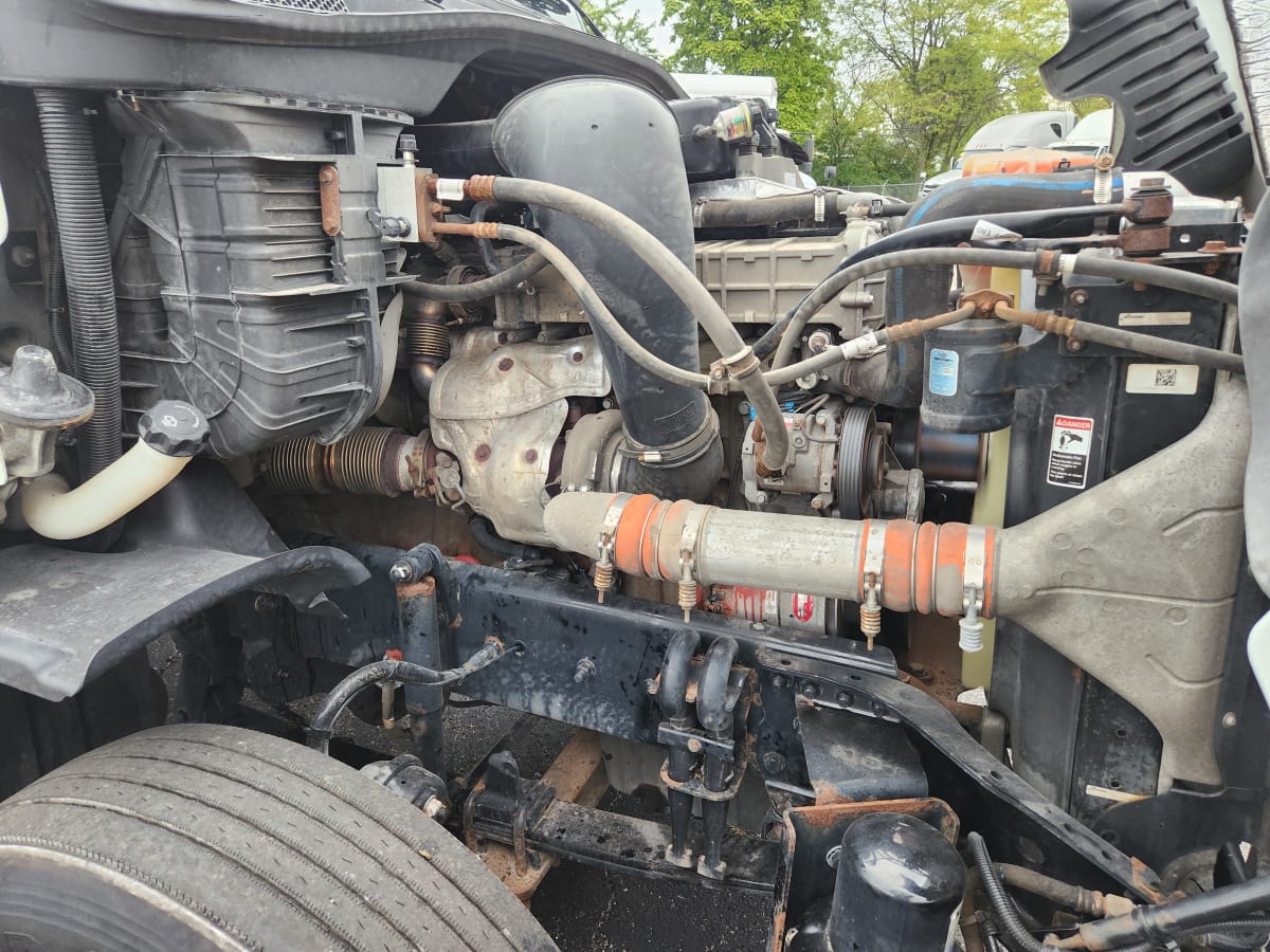 2019 Freightliner/Mercedes CASCADIA 125 795707