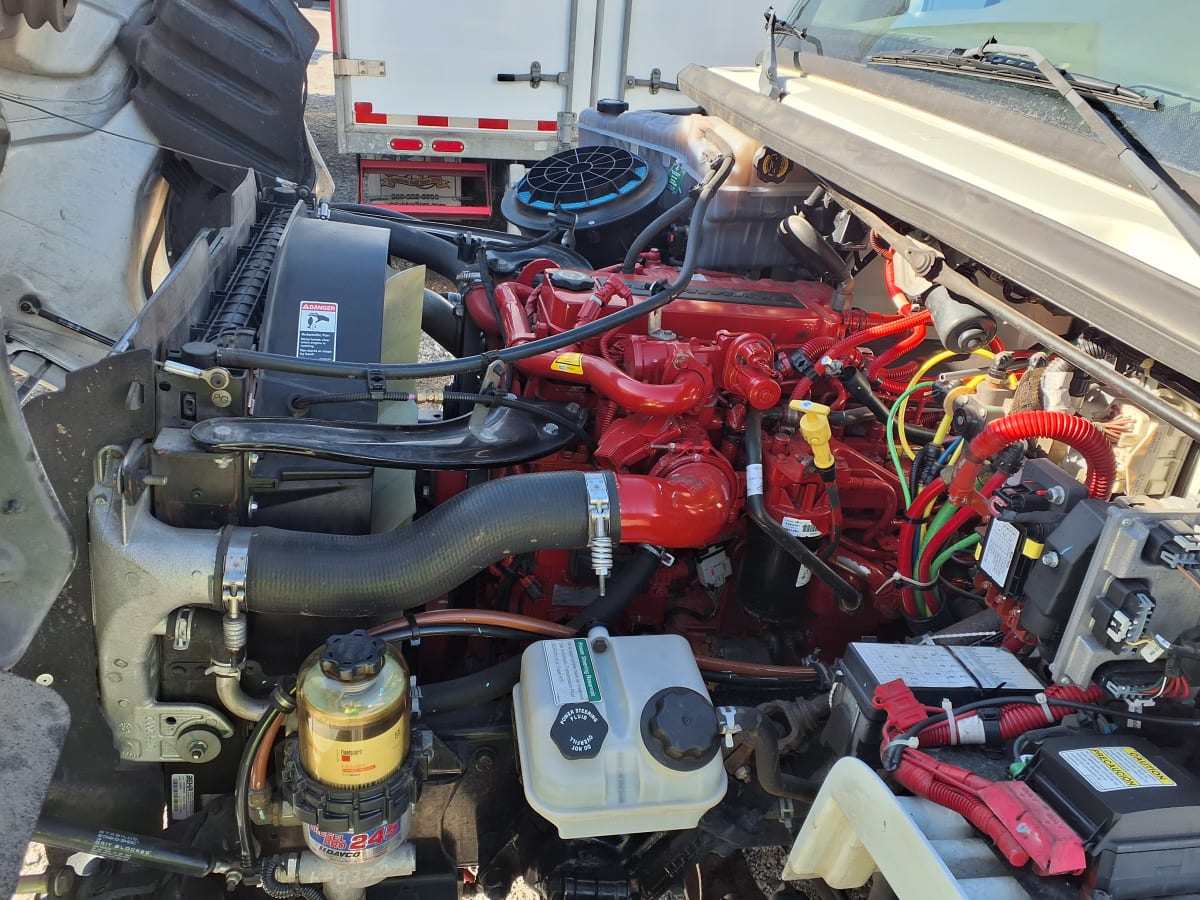 2018 Freightliner/Mercedes M2 106 796365