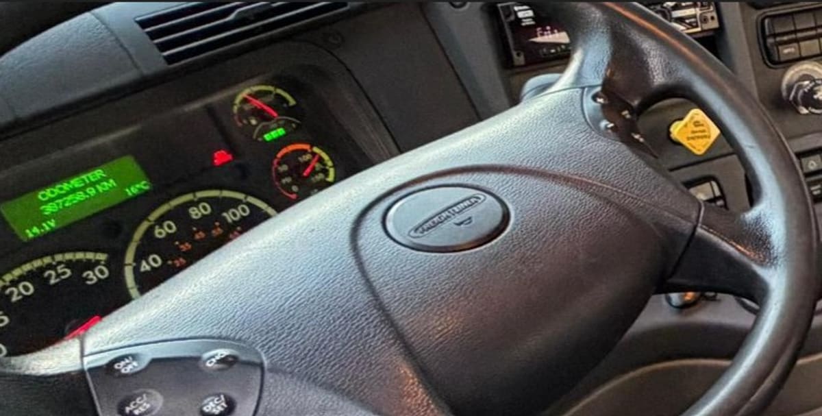 2019 Freightliner/Mercedes CASCADIA 125 798789