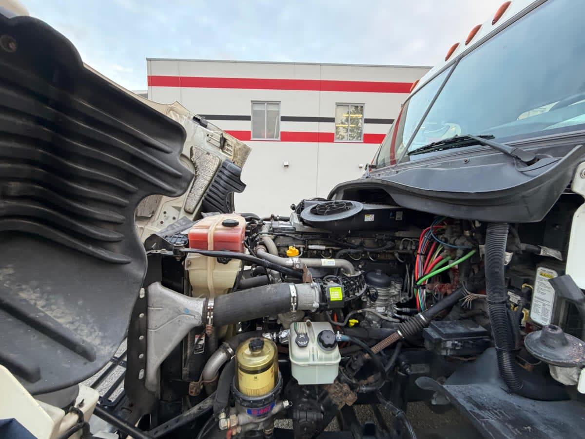 2019 Freightliner/Mercedes CASCADIA 125 798789