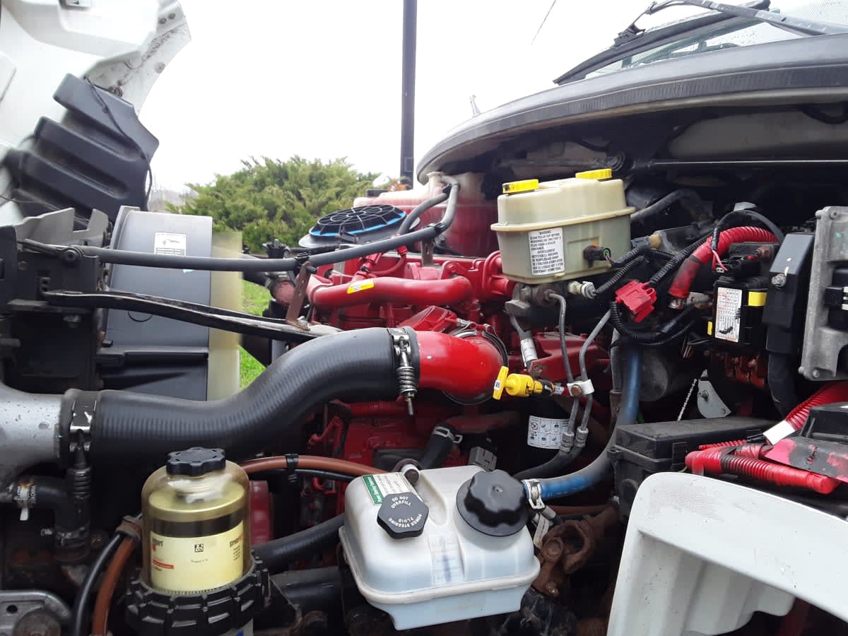 2019 Freightliner/Mercedes M2 106 799715