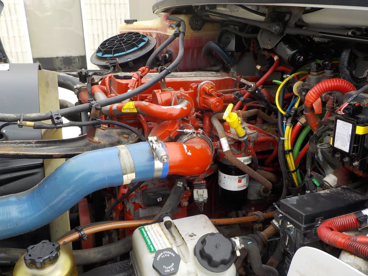 2019 Freightliner/Mercedes M2 106 799825