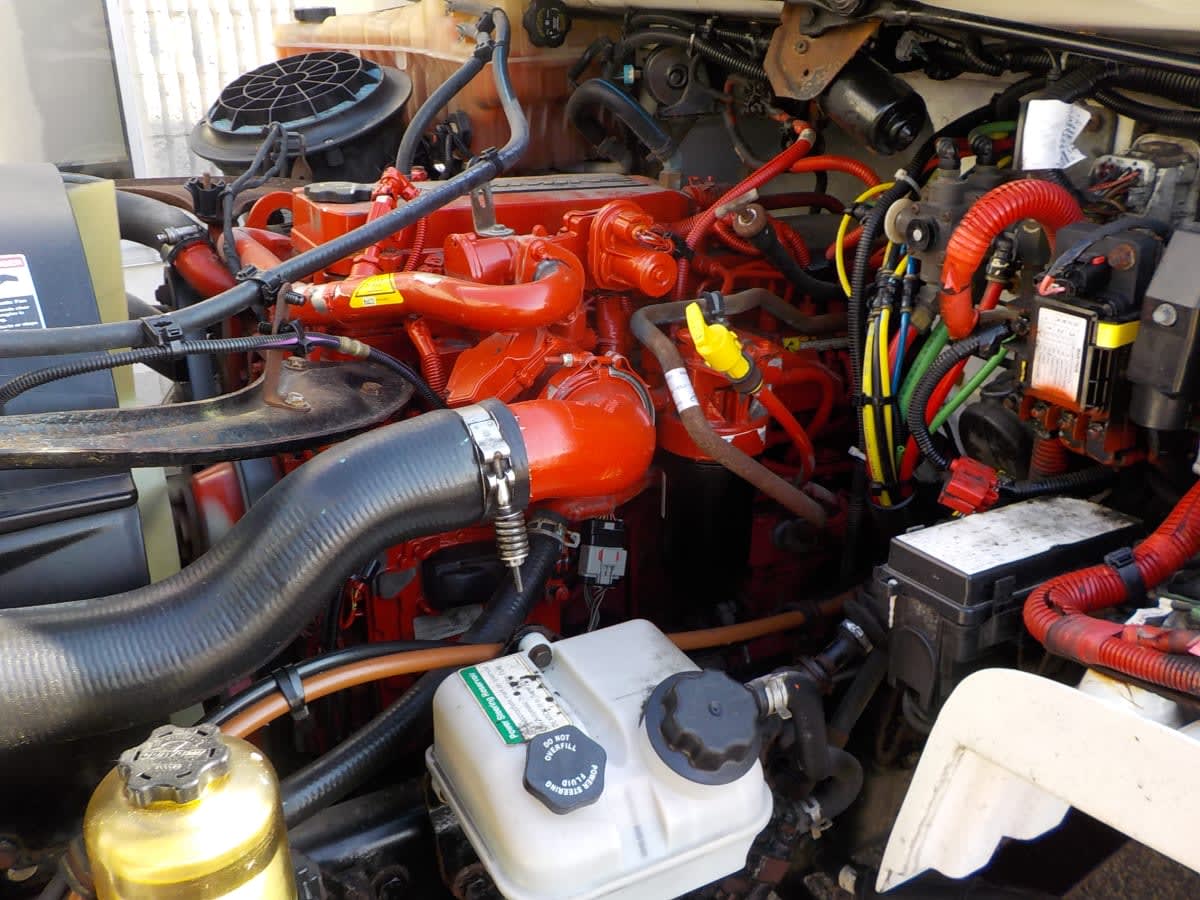 2019 Freightliner/Mercedes M2 106 799883