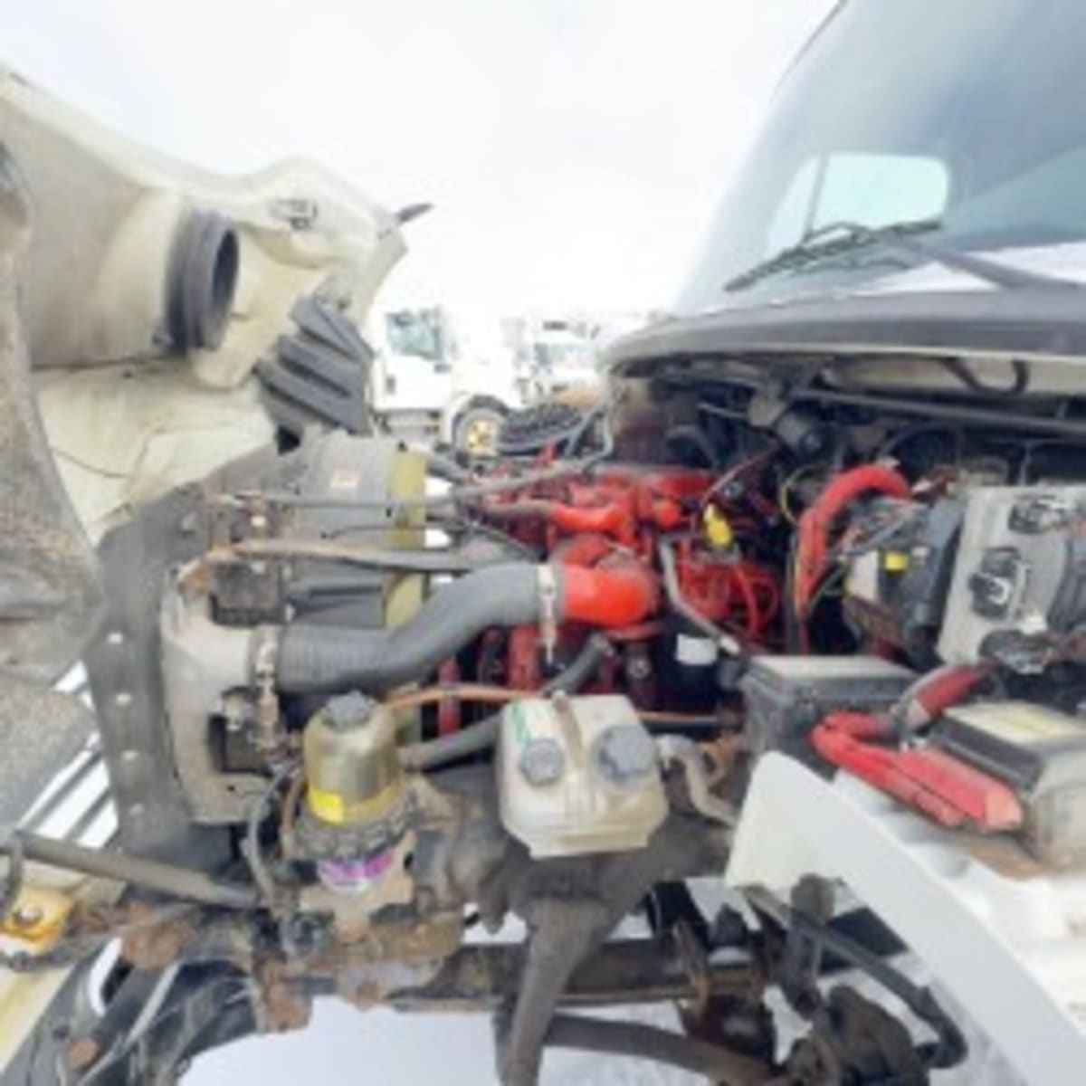 2019 Freightliner/Mercedes M2 106 800424