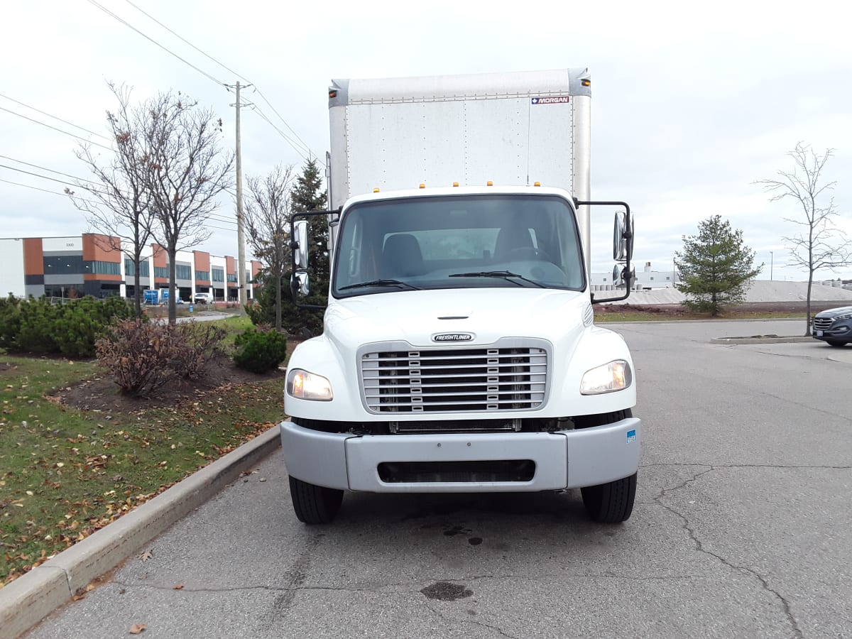 2019 Freightliner/Mercedes M2 106 802378