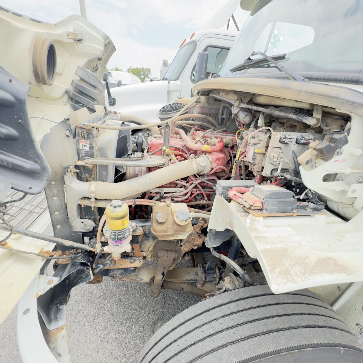 2019 Freightliner/Mercedes M2 106 802576