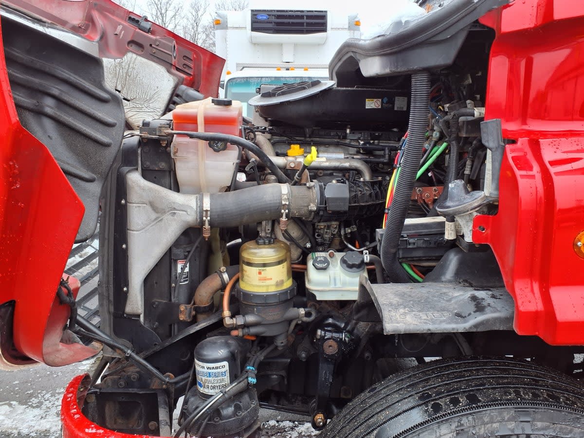 2019 Freightliner/Mercedes CASCADIA 113 802615