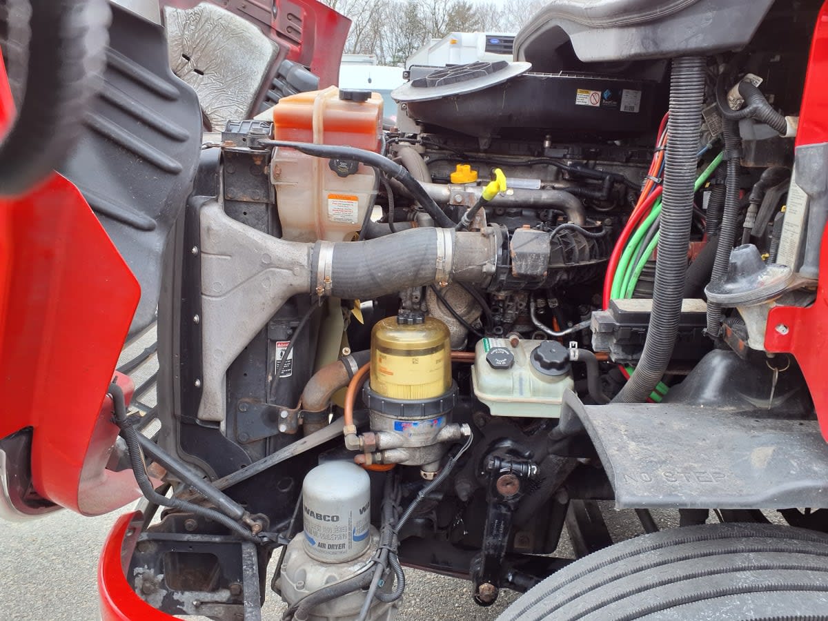 2019 Freightliner/Mercedes CASCADIA 113 802616