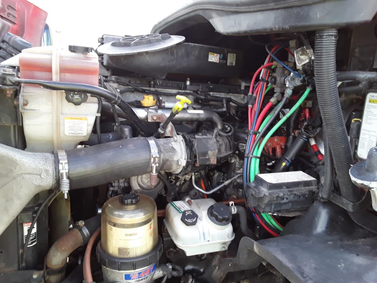 2019 Freightliner/Mercedes CASCADIA 113 802617