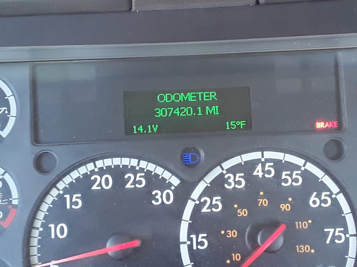 2019 Freightliner/Mercedes CASCADIA 113 802618