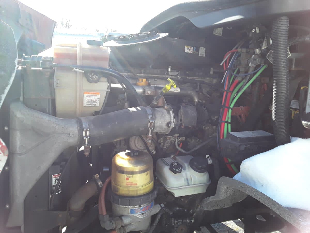 2019 Freightliner/Mercedes CASCADIA 113 802618