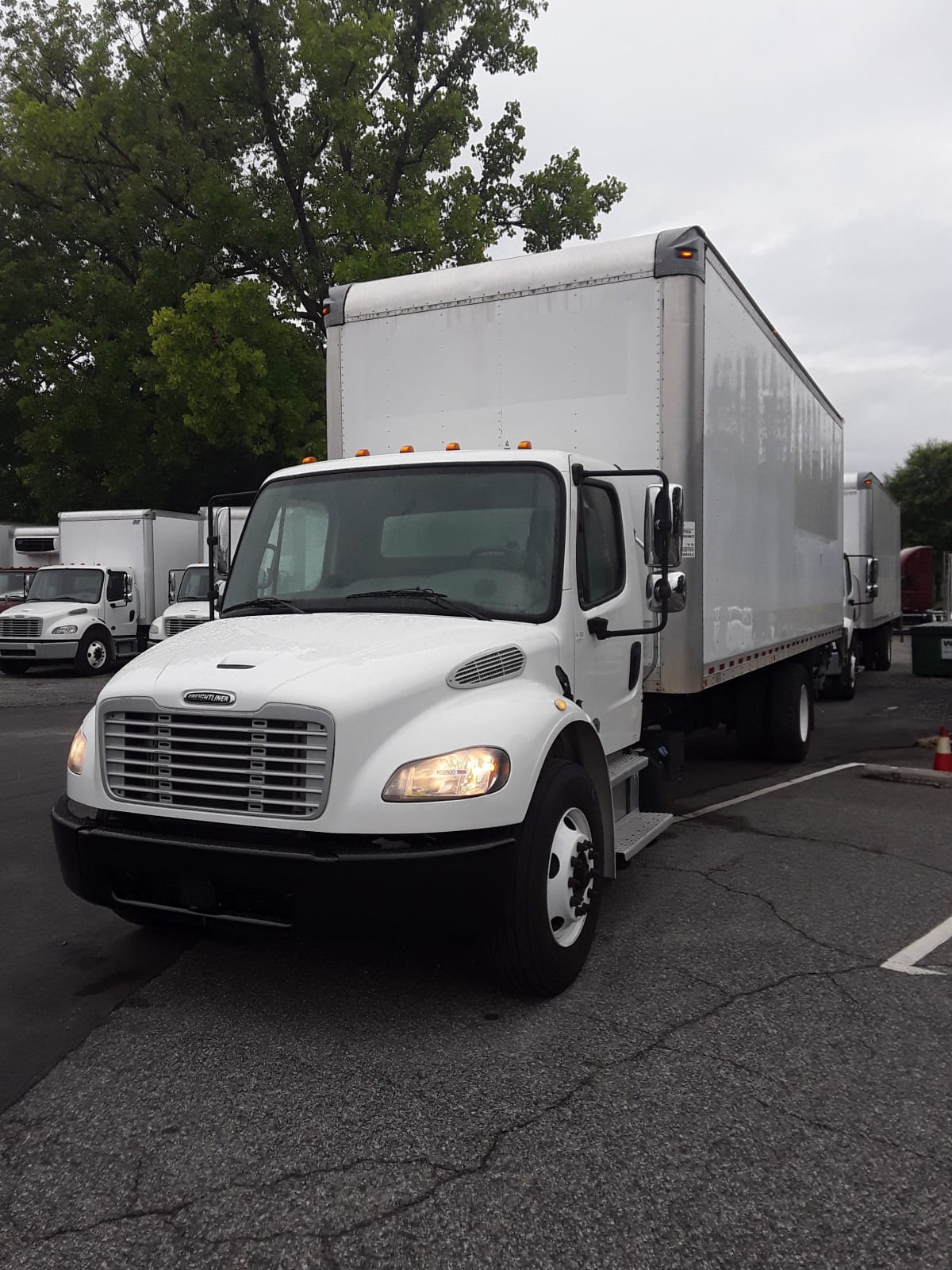 2018 Freightliner/Mercedes M2 106 802800