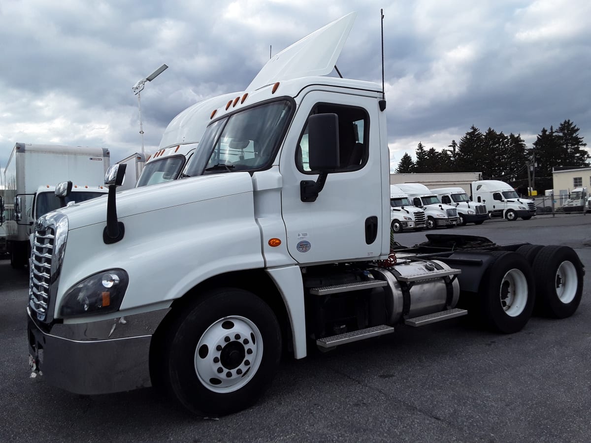 2019 Freightliner/Mercedes CASCADIA 125 803055