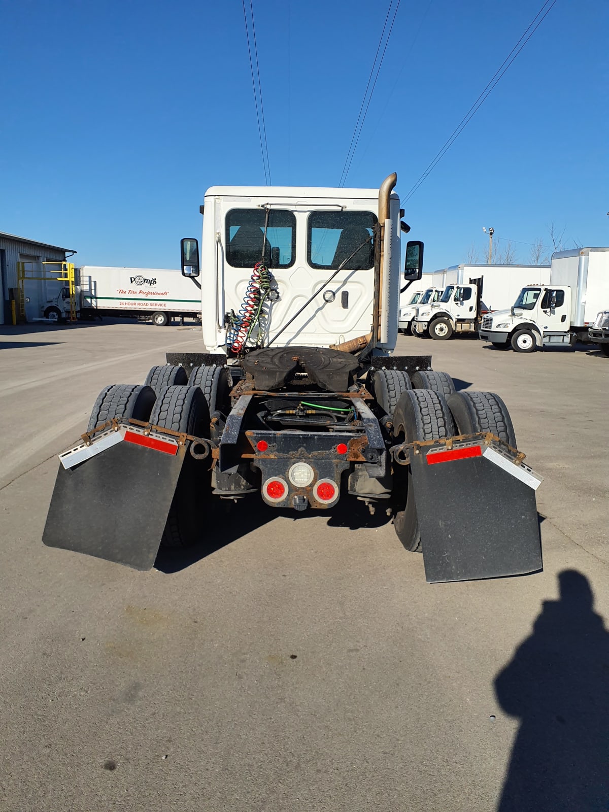 2019 Freightliner/Mercedes CASCADIA 113 803090