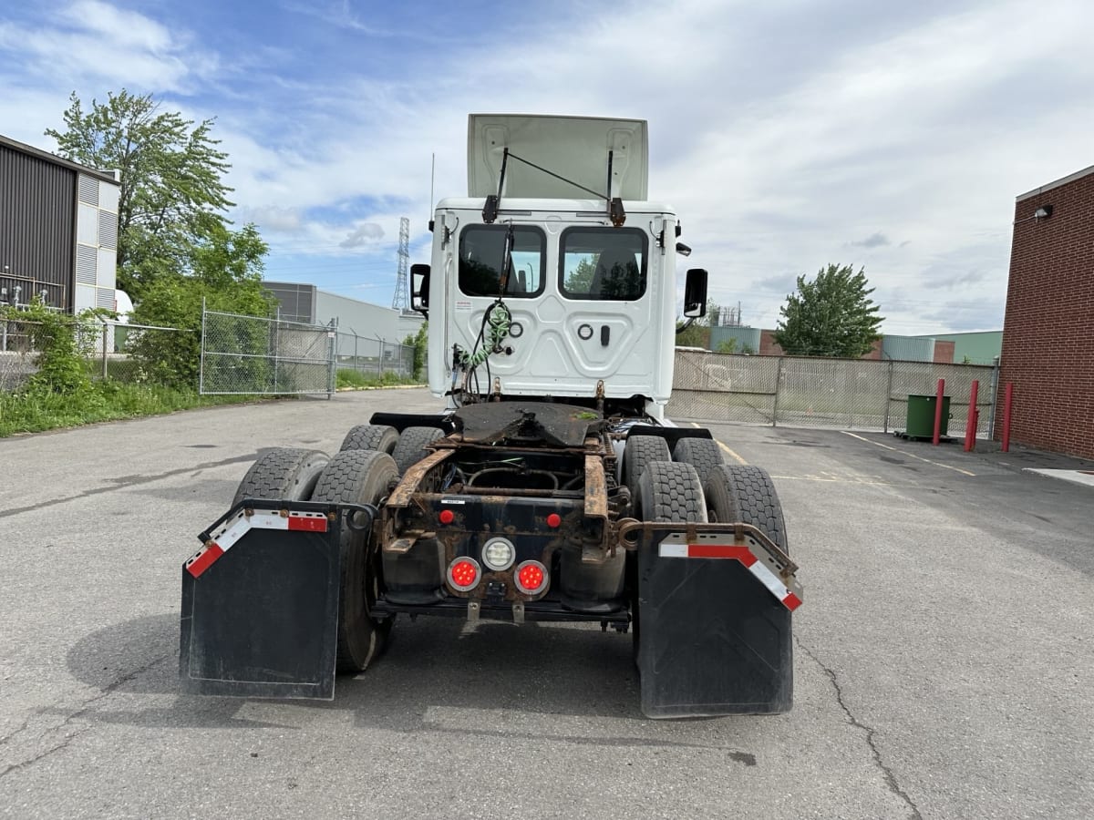 2019 Freightliner/Mercedes CASCADIA 125 803119