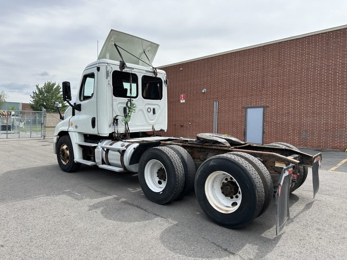 2019 Freightliner/Mercedes CASCADIA 125 803119