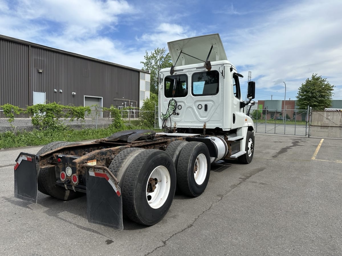 2019 Freightliner/Mercedes CASCADIA 125 803119