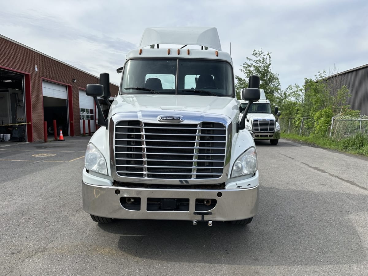 2019 Freightliner/Mercedes CASCADIA 125 803119