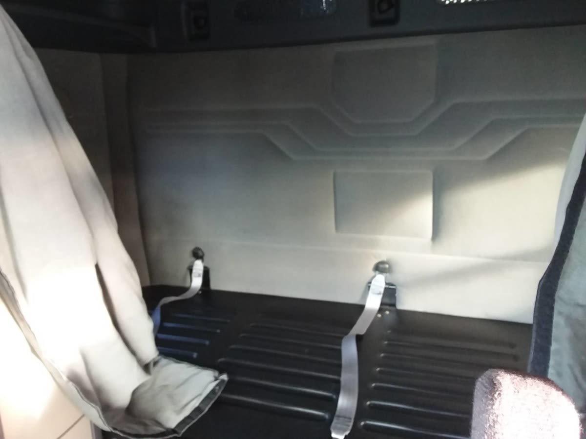 2019 Freightliner/Mercedes CASCADIA 125 803288