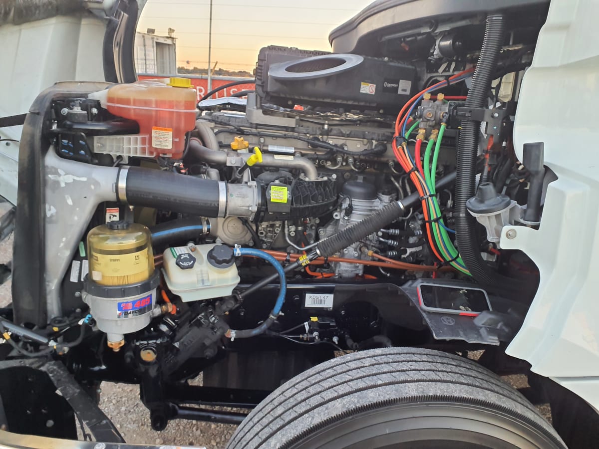 2019 Freightliner/Mercedes NEW CASCADIA 126 803305