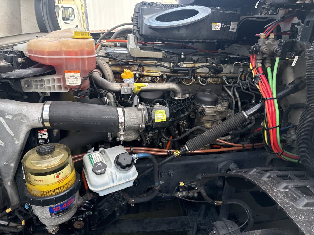 2019 Freightliner/Mercedes NEW CASCADIA 126 803316