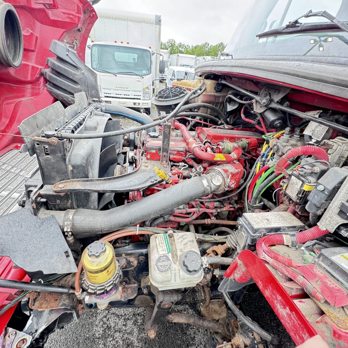 2019 Freightliner/Mercedes M2 106 803473