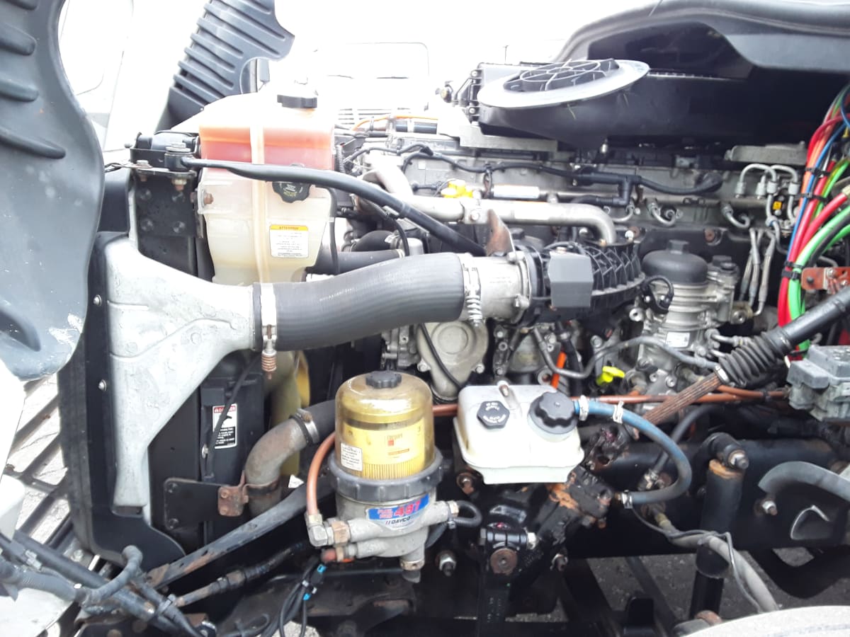 2019 Freightliner/Mercedes CASCADIA 125 803486