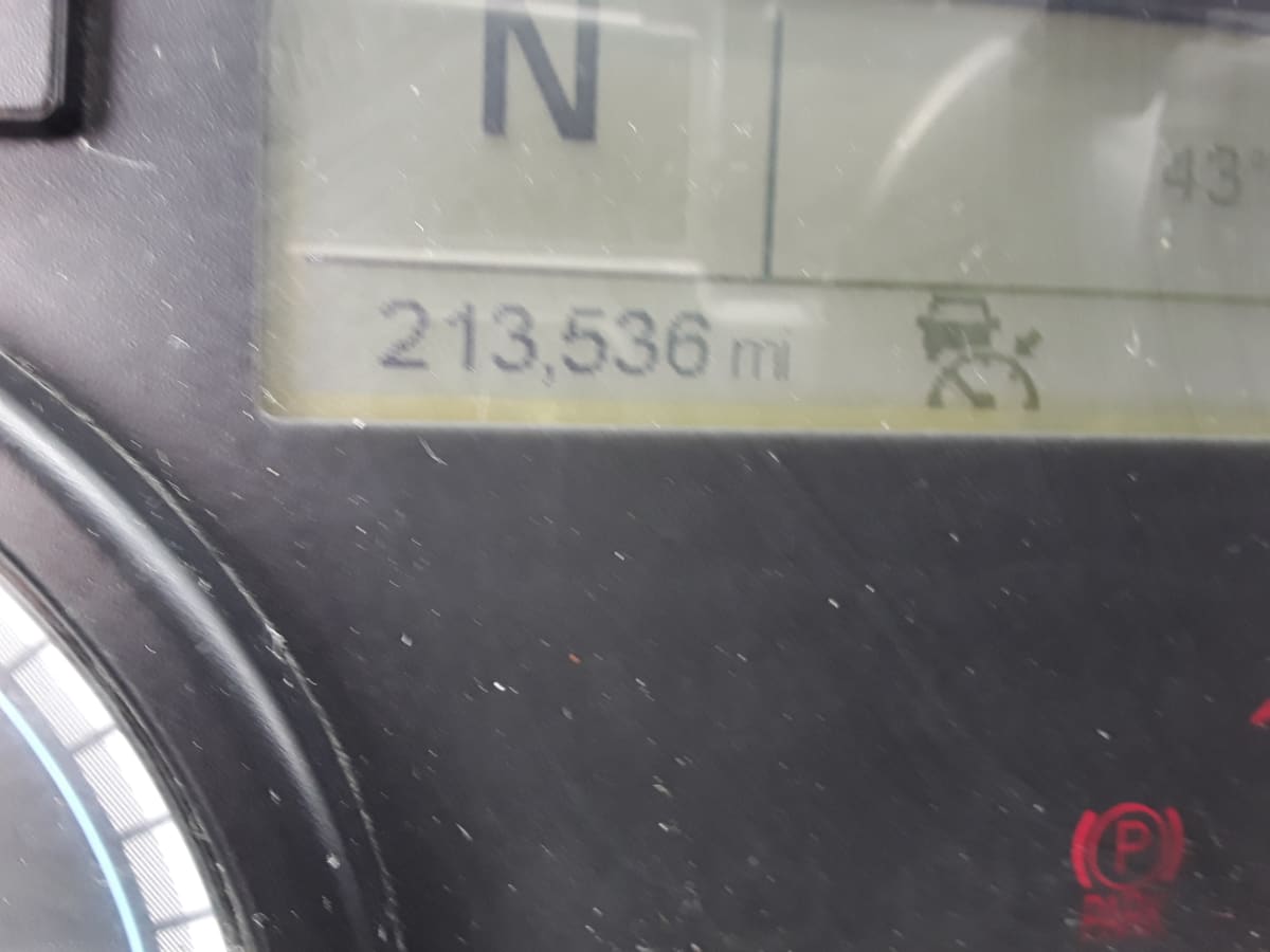 2019 Freightliner/Mercedes CASCADIA 125 803486