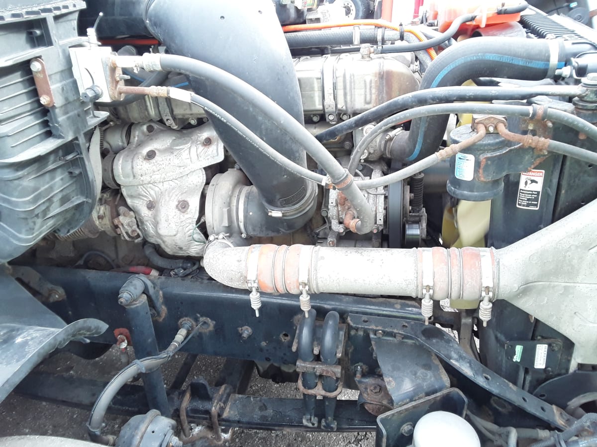 2019 Freightliner/Mercedes CASCADIA 125 803486