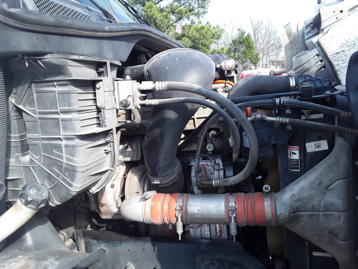 2019 Freightliner - image 9