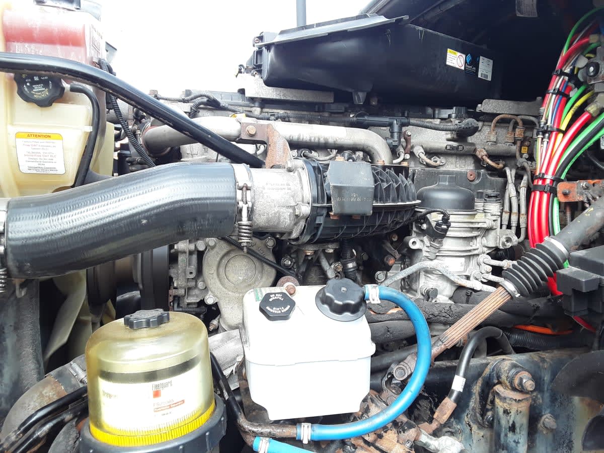 2019 Freightliner/Mercedes CASCADIA 125 803502